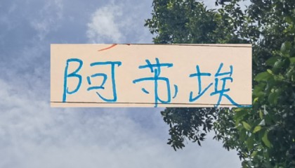 九游娱乐城-还差一个外援！到时候是阿苏埃出现 还是申花新的大鱼上岸？